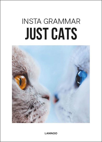 Паперова книга «Insta Grammar Just Cats», автор Ірен Шампарт - фото №1