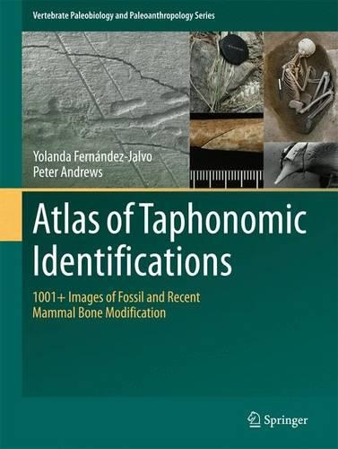 Бумажная книга «Atlas of Taphonomic Identifications: 1001+ Images of Fossil and Recent Mammal Bone Modification», авторов Питер Эндрюс, Иоланда Фернандес-Хальво - фото №1