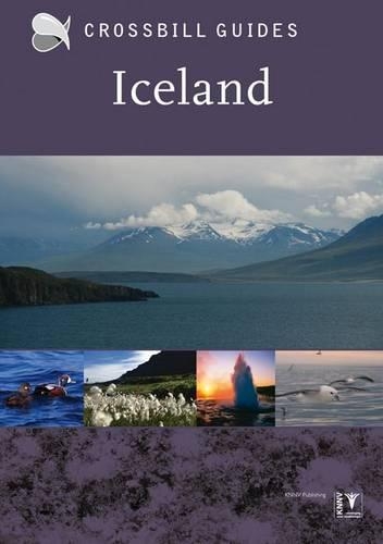 Бумажная книга «Iceland», автор Энди Джонс - фото №1