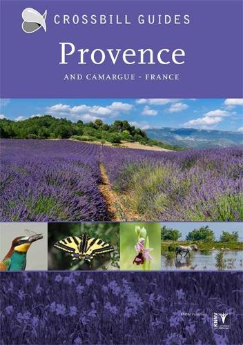 Паперова книга «Provence: And Camargue, France», авторів Альберт Влігентарт, Констанс Свінкельс, Дірк Гільберс - фото №1