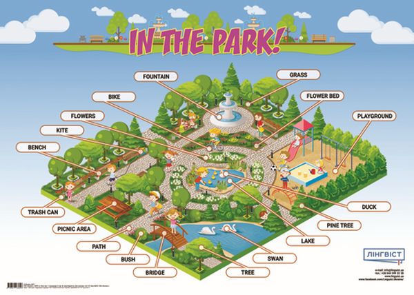 Бумажная книга «Англійський плакат In The Park! (+ картки)» - фото №1