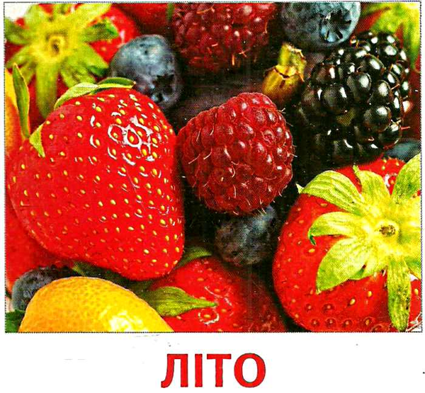 Бумажная книга «Картки міні. Пори року» - фото №1