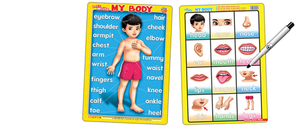 Бумажная книга «Writing Boards Let's Write. My Body (2 Sided)» - фото №1