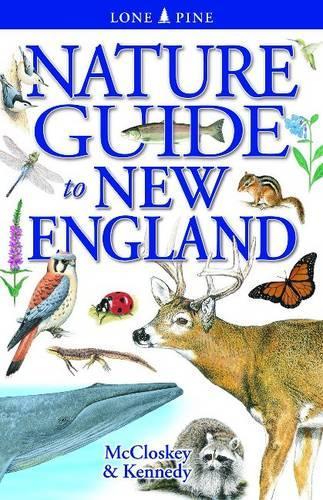 Паперова книга «Nature Guide to New England», автор Ерін МакКлоскі - фото №1