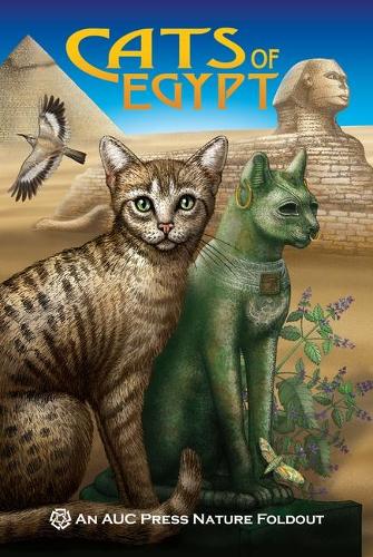 Бумажная книга «Cats of Egypt: An AUC Press Nature Foldout», автор Доминик Наварро - фото №1