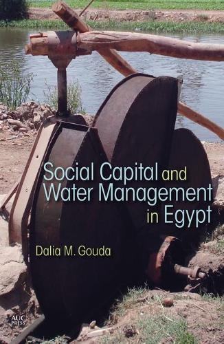 Бумажная книга «Social Capital and Local Water Management in Egypt», автор Далия М. Гауда - фото №1