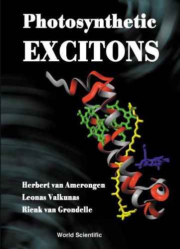 Бумажная книга «Photosynthetic Excitons», авторов Герберт Ван Амеронген, Леонас Валкунас, Риенк ван Гронделл - фото №1