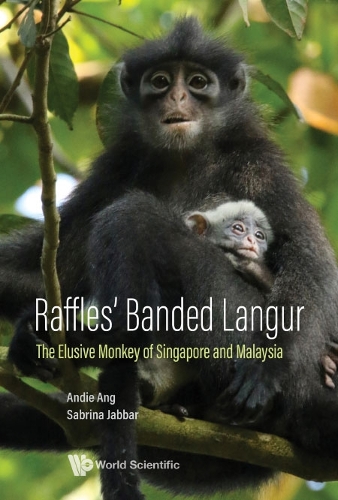 Бумажная книга «Raffles' Banded Langur: The Elusive Monkey Of Singapore And Malaysia», авторов Энди Анг, Сабрина Джаббар - фото №1