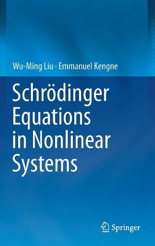 [object Object] «Schrödinger Equations in Nonlinear Systems», авторов Эммануэль Кенгне, Ву-Минг Лю - фото №1