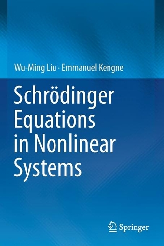[object Object] «Schrödinger Equations in Nonlinear Systems», авторів Еммануель Кенгне, Ву-Мінг Лю - фото №1