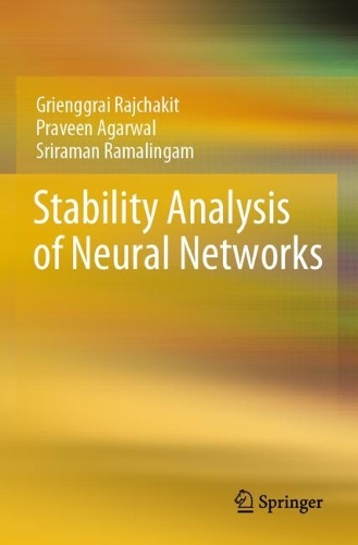 Бумажная книга «Stability Analysis of Neural Networks», авторов Грингграй Раджчакит, Правин Агарвал, Шрираман Рамалингам - фото №1