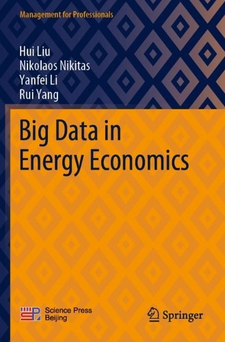 Бумажная книга «Big Data in Energy Economics», авторов Хуэй Лю, Руй Ян, Янфэй Ли - фото №1
