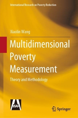Бумажная книга «Multidimensional Poverty Measurement: Theory and Methodology», автор Сяолинь Ван - фото №1