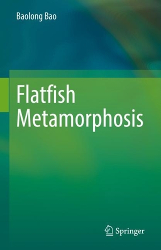 Бумажная книга «Flatfish Metamorphosis», автор Баолун Бао - фото №1