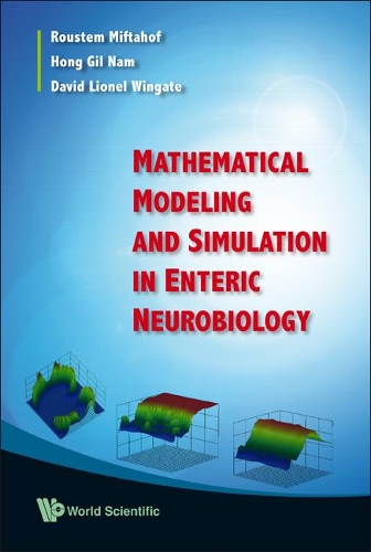 Паперова книга «Mathematical Modeling And Simulation In Enteric Neurobiology», авторів Девід Лайонел Вінгейт, Хонг Гіл Нам, Рустем Міфтахоф - фото №1