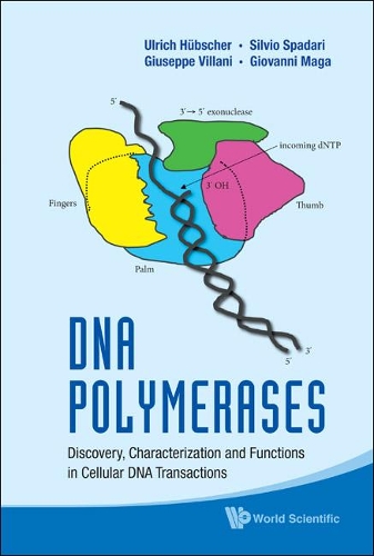 Паперова книга «Dna Polymerases: Discovery, Characterization And Functions In Cellular Dna Transactions», авторів Джованні Мага, Джузеппе Віллані, Сільвіо Спадарі, Ульріх Губшер - фото №1