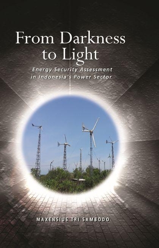 Бумажная книга «From Darkness to Light: Energy Security Assessment in Indonesia’s Power Sector», автор Максенсиус Три Самбодо - фото №1