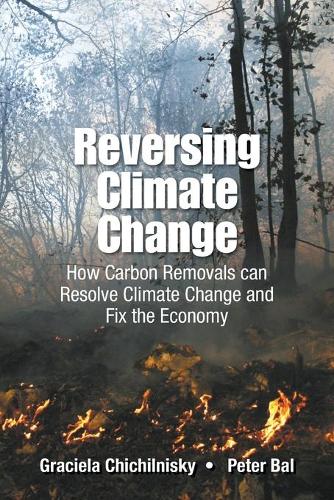 Бумажная книга «Reversing Climate Change: How Carbon Removals Can Resolve Climate Change And Fix The Economy», авторов Грасиэла Чичильниски, Питер Бал - фото №1