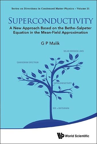 Бумажная книга «Superconductivity: A New Approach Based On The Bethe-salpeter Equation In The Mean-field Approximation», автор Г. П. Малик - фото №1
