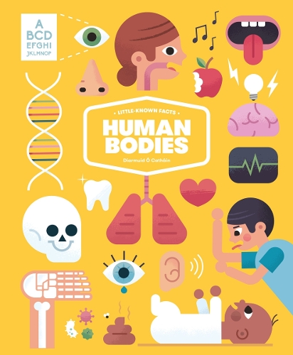Бумажная книга «Little-known Facts: The Human Body», автор Диармуид О Катаин - фото №1