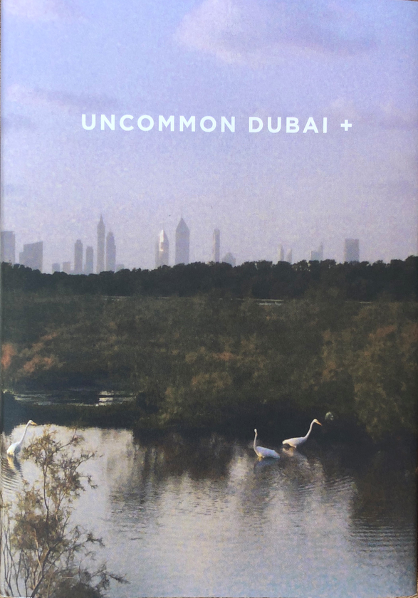 Бумажная книга «Uncommon Dubai +» - фото №1