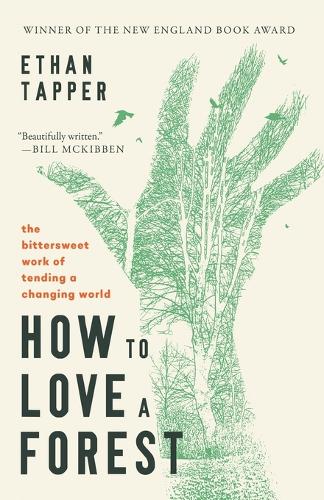Бумажная книга «How to Love a Forest: The Bittersweet Work of Tending a Changing World», автор Итан Таппер - фото №1