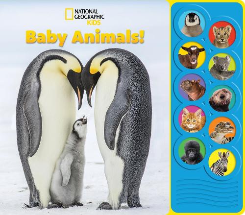 Паперова книга «National Geographic Kids: Baby Animals! Sound Book» - фото №1