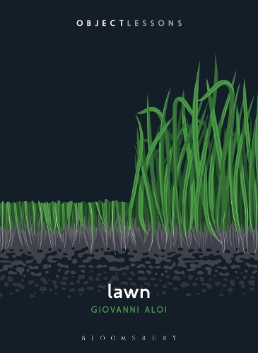 [object Object] «Lawn», автор Джованні Алої - фото №1