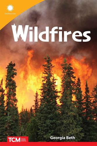 Бумажная книга «Wildfires», автор Джорджия Бет - фото №1