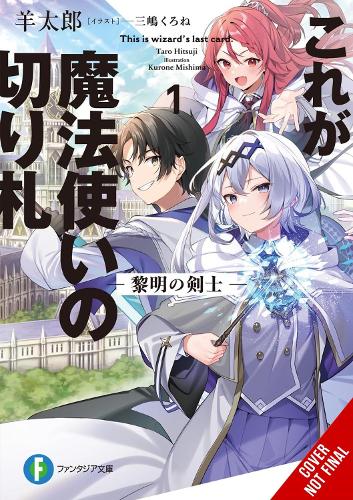 Бумажная книга «This Is the Wizard’s Secret Weapon, Vol. 1 (light novel)», авторов Куроне Мисима, Таро Хицудзи - фото №1