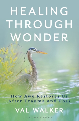 Paper book «Healing Through Wonder: How Awe Restores Us After Trauma and Loss», author Val Walker - фото №1