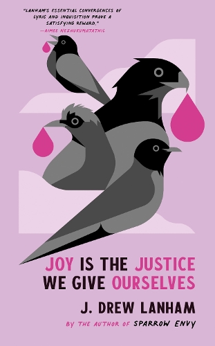 Паперова книга «Joy is the Justice We Give Ourselves», автор Дж. Дрю Ленхем - фото №1