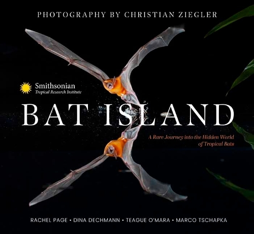Бумажная книга «Bat Island: A Rare Journey into the Hidden World of Tropical Bats», авторов Марко Тшапка, Рэйчел А. Пейдж, Смитсоновский институт тропических исследований - фото №1