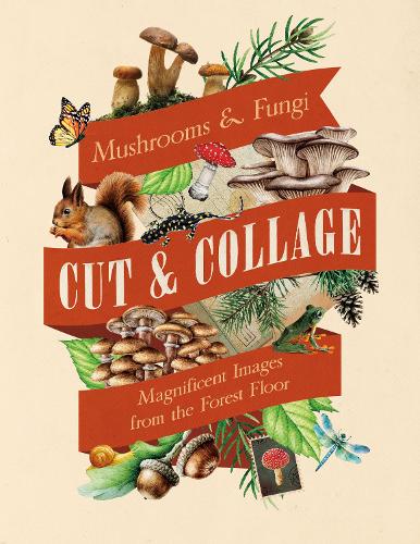 [object Object] «Cut & Collage Mushrooms and Fungi: Magnificent Images from the Forest Floor», автор Earth Aware Editions - фото №1