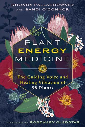 Бумажная книга «Plant Energy Medicine: The Guiding Voice and Healing Vibration of 58 Plants», авторов Ронда ПалласДауни, Сэнди О'Коннор - фото №1