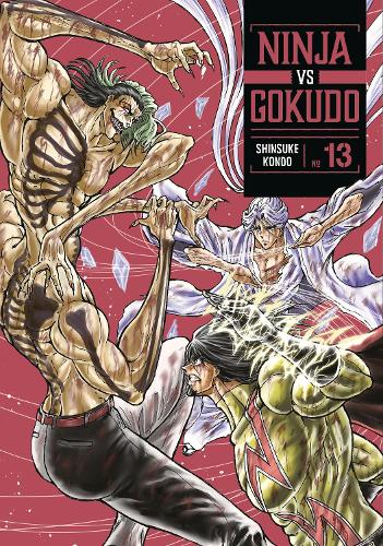 Бумажная книга «Ninja Vs. Gokudo 13», автор Синсукэ Кондо - фото №1