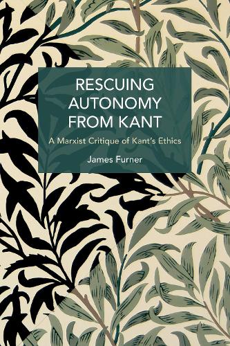 Паперова книга «Rescuing Autonomy from Kant: Politics of Hate on the Margins of Global Capital», автор Джеймс Фурнер - фото №1