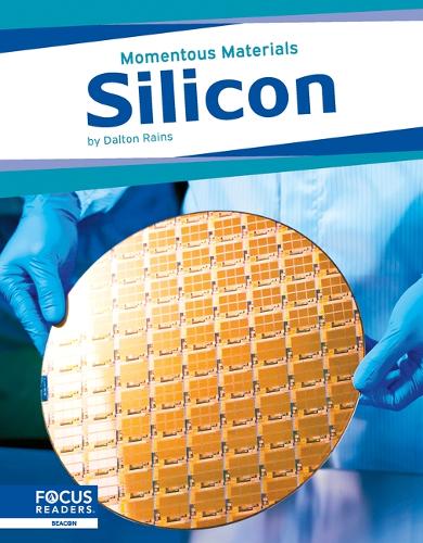 Бумажная книга «Silicon», автор Далтон Рейнс - фото №1