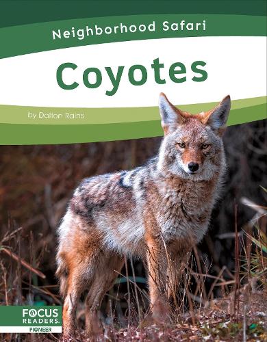 Бумажная книга «Coyotes», автор Далтон Рейнс - фото №1