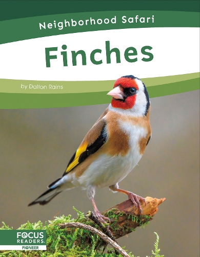 Бумажная книга «Finches», автор Далтон Рейнс - фото №1