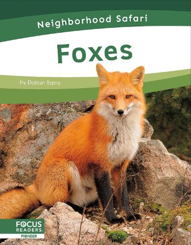 Бумажная книга «Foxes», автор Далтон Рейнс - фото №1