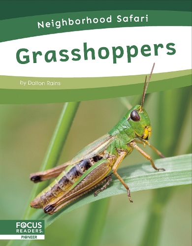 Бумажная книга «Grasshoppers», автор Далтон Рейнс - фото №1