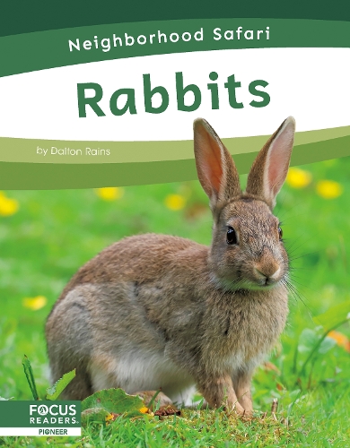 Бумажная книга «Rabbits», автор Далтон Рейнс - фото №1