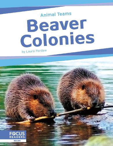 Бумажная книга «Beaver Colonies», автор Лаура Пердью - фото №1