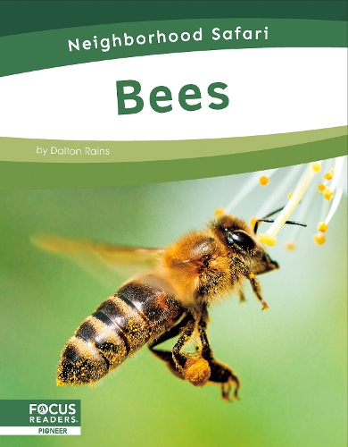 Бумажная книга «Bees», автор Далтон Рейнс - фото №1