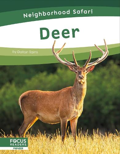 Бумажная книга «Deer», автор Далтон Рейнс - фото №1