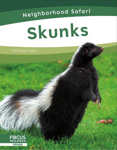 Бумажная книга «Skunks», автор Далтон Рейнс - фото №1