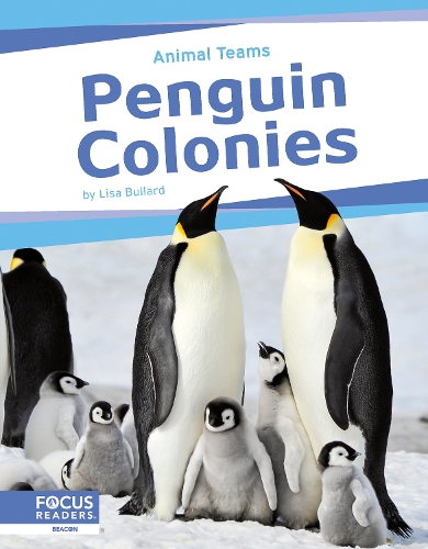 Бумажная книга «Penguin Colonies», автор Лиза Буллард - фото №1