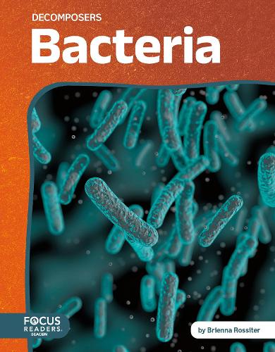 Бумажная книга «Bacteria», автор Бриенна Росситер - фото №1