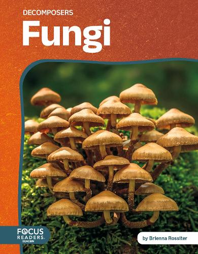 Паперова книга «Fungi», автор Брієнна Россітер - фото №1